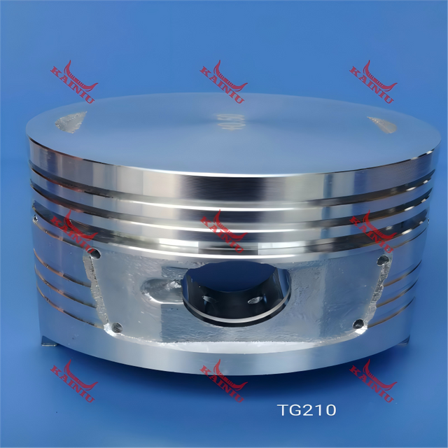Piston TG210