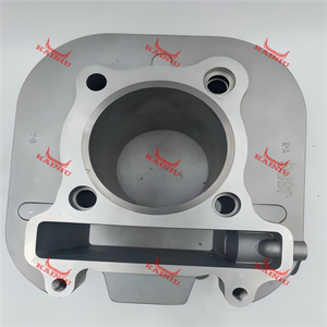 Cylinder Head ATV250