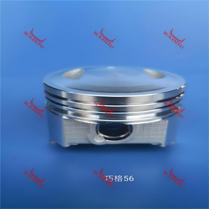 Piston 巧格56