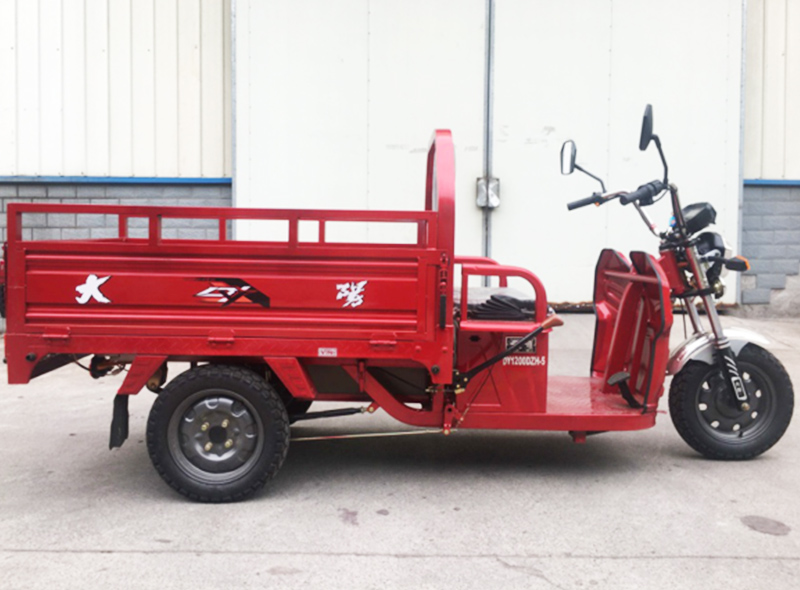 DAYANG IV Electric Tricycle