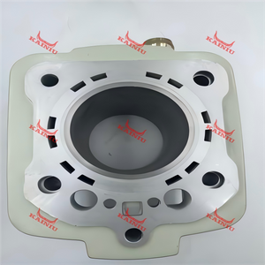 Cylinder Head HD250S