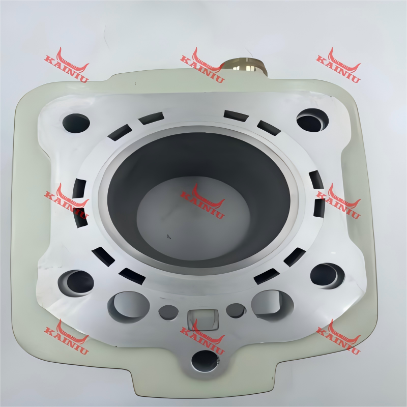 Cylinder Head HD250S