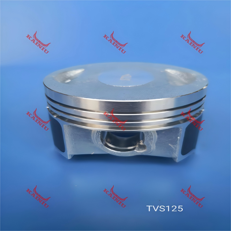 Piston TVS125