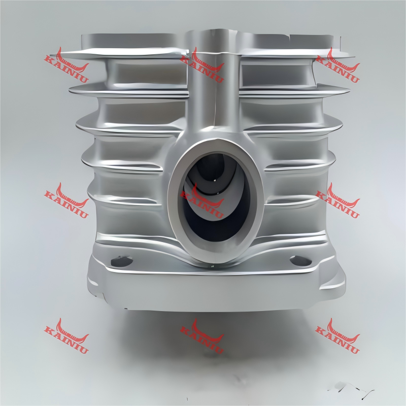 Cylinder Head CG100