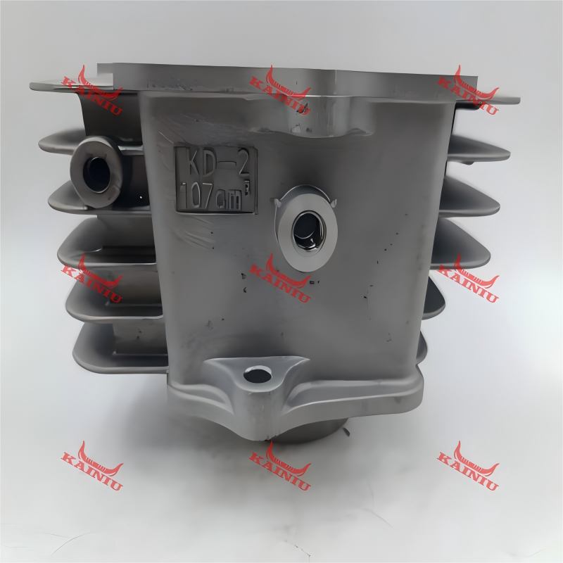 Cylinder Head C110