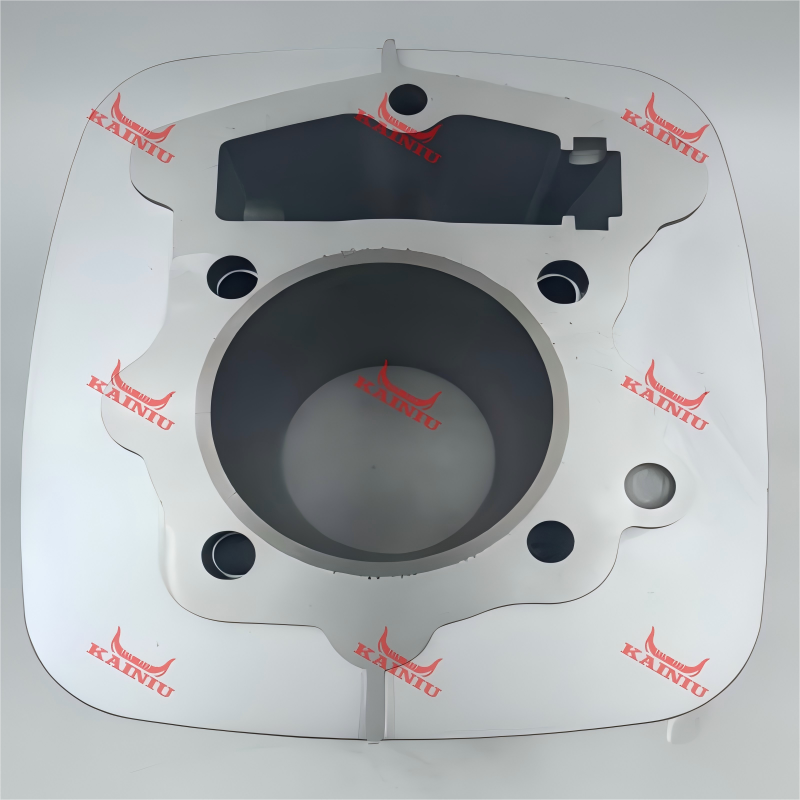 Cylinder Head CBP250