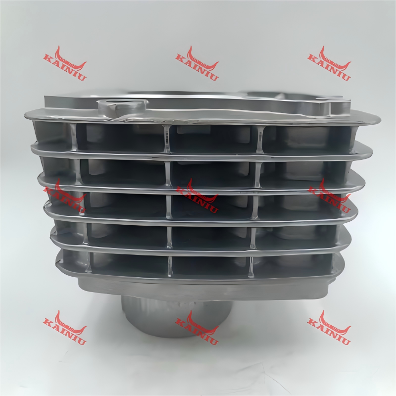 Cylinder Head CBF125