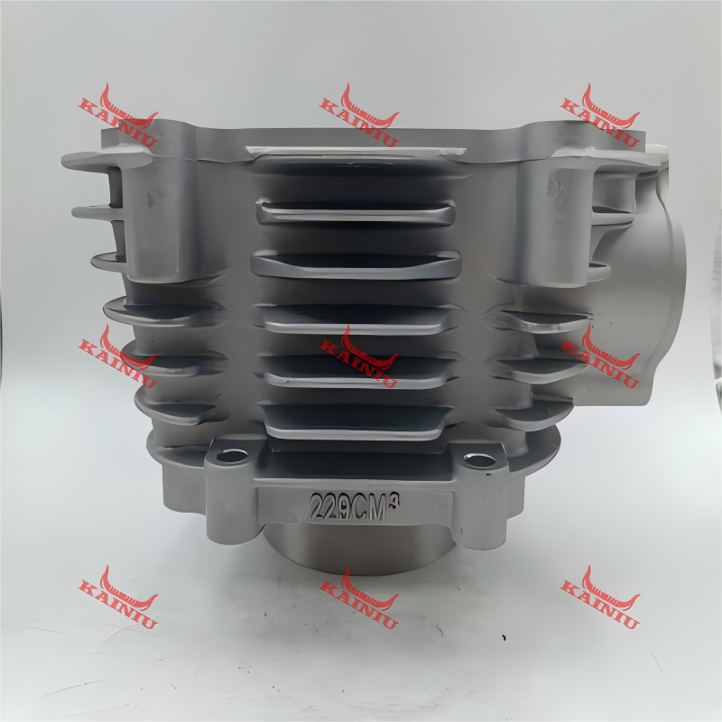 Cylinder Head ATV250