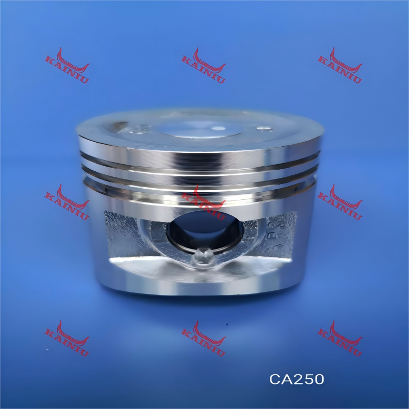 Piston CA250